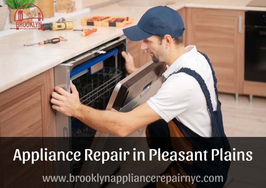 appliance repair Pleasant Plains