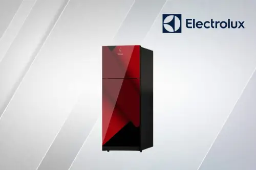 Fast Electrolux Fridge Repair
