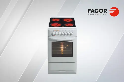 Fast Fagor Oven Repair