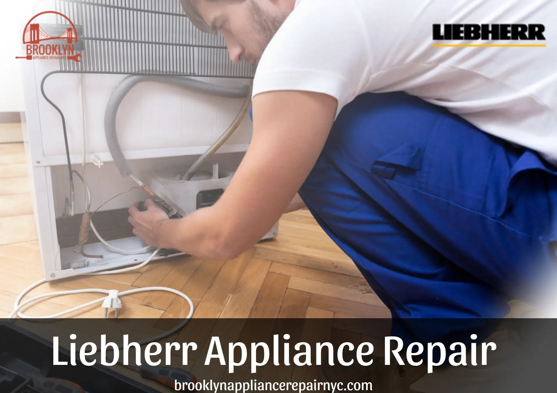 Express Liebherr Appliance Repair