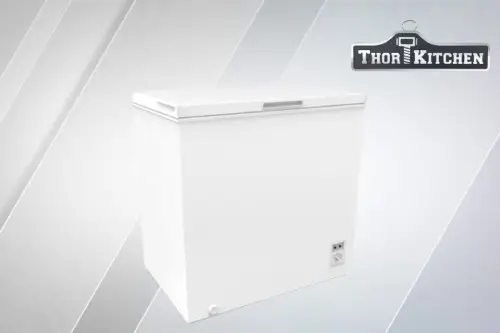 Thor freezer repair in Brooklyn 