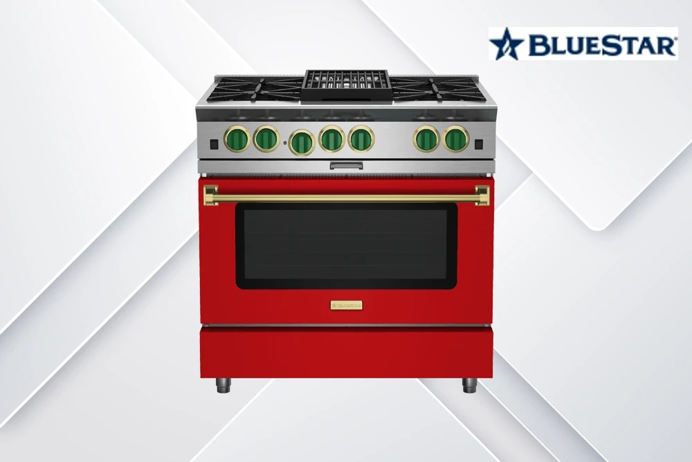 Bluestar stove repair in Brooklyn